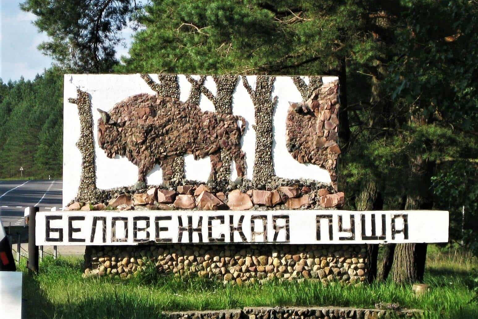 Беловежская пуща