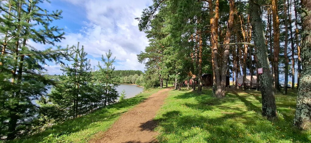 Природа вокруг водохранилища