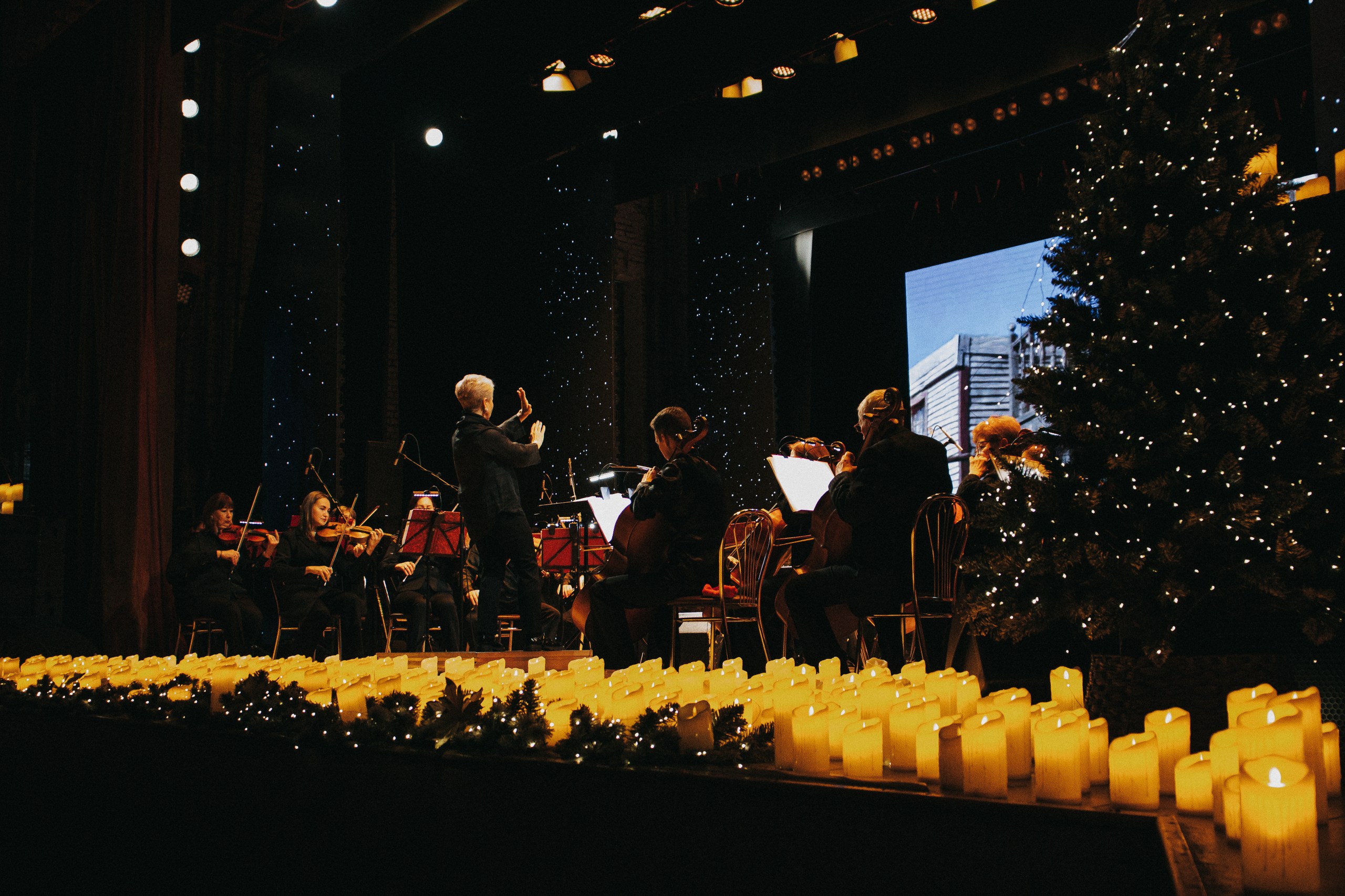 Концертная жизнь Санкт-Петербурга
